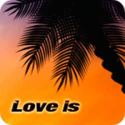 Love Is (4:31)