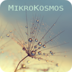 Mikrokosmos (4:23)