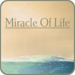 Miracle Of Life (1:55)