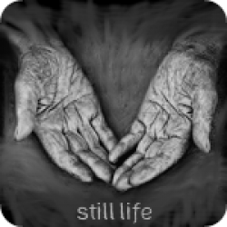Still Life (2:38)
