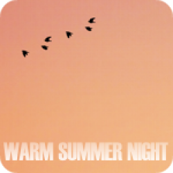 Warm Summer Night (4:37)