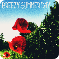 Breezy Summer Day