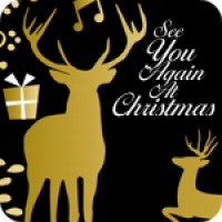 See You Again At Christmas