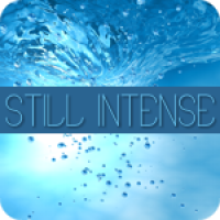 Still Intense