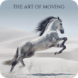 The Art Of Moving (5:11)
